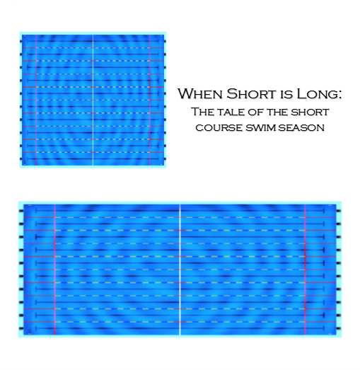 Image result for short course vs long course